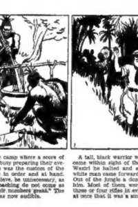 Tarzan: 1930 Strips